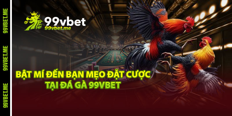 Bật mí đến bạn mẹo đặt cược tại đá gà 99vbet