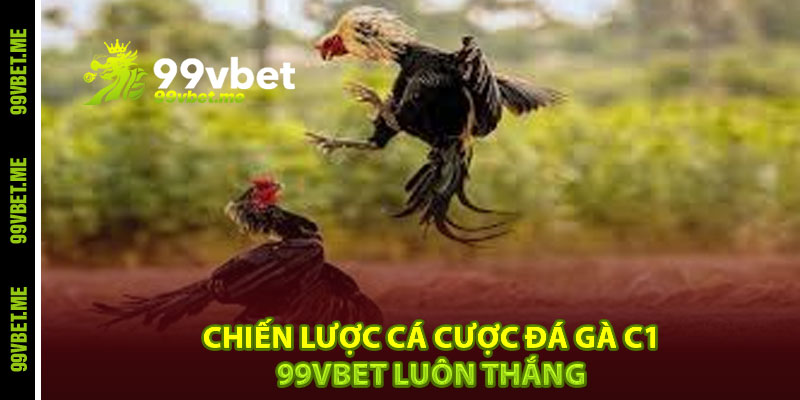Chiến lược cá cược đá gà C1 99vbet luôn thắng