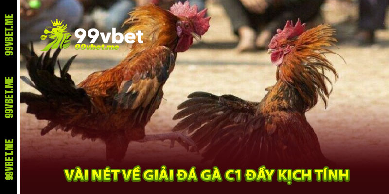 Vài nét về giải đá gà C1 đầy kịch tính